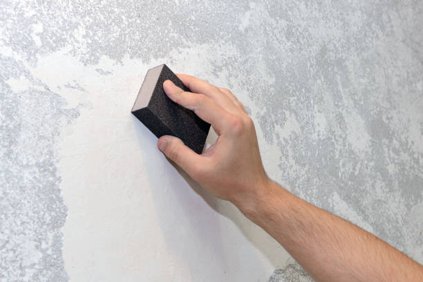 Best Forensic Mold Investigation  in Pearl River, NY