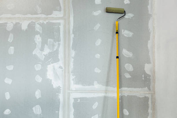 Reliable Pearl River, NY Mold Removal Solutions