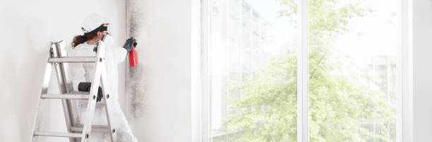 Best Air Quality Testing for Mold Spores  in Pearl River, NY